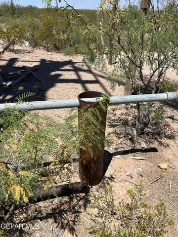a black and white photo of a living room