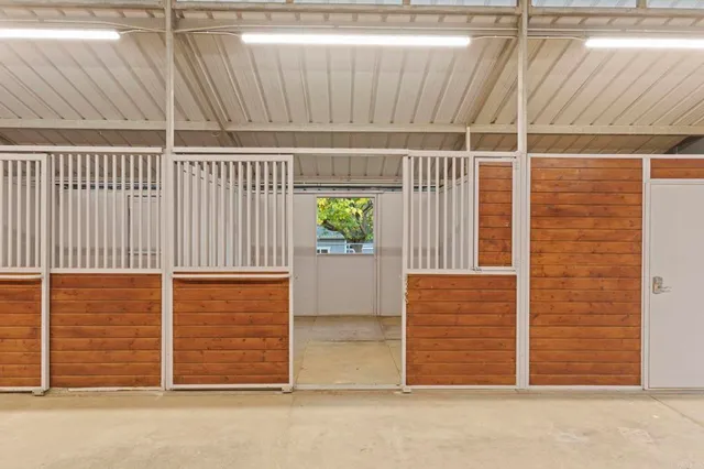 a view of a yard with large trees