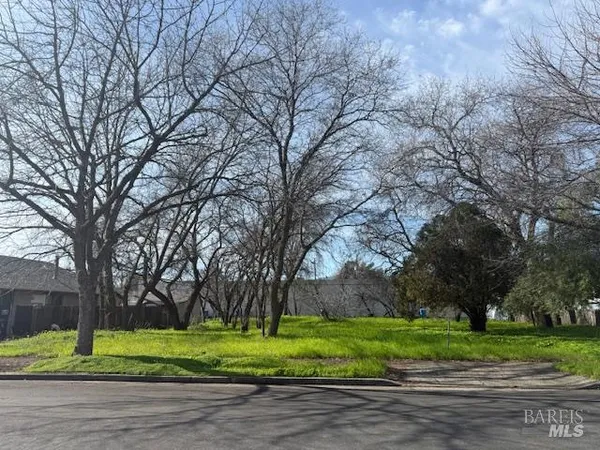 a big yard with large trees