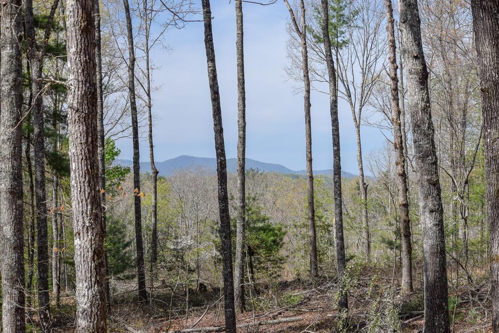 375 Ridge Brook Drive Morganton, GA 30560 - Photo 17 of 34