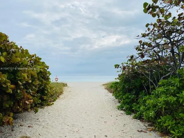 a view of a yard with plants and a trees