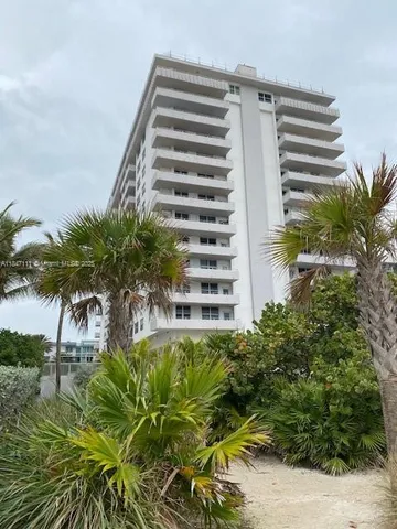a view of a tree in a yard