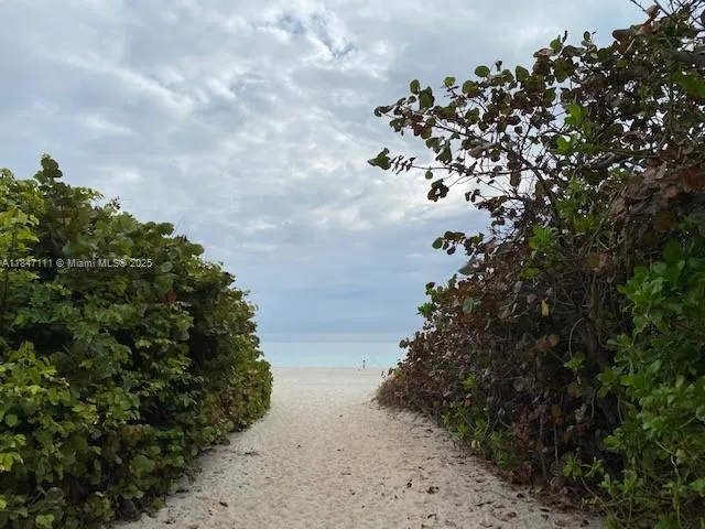 a view of a swimming pool with a garden and plants