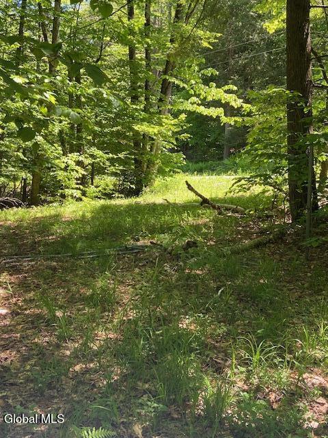 55 Fodder Road Stony Creek, NY 12878 - Photo 12 of 13 Rough drive to road