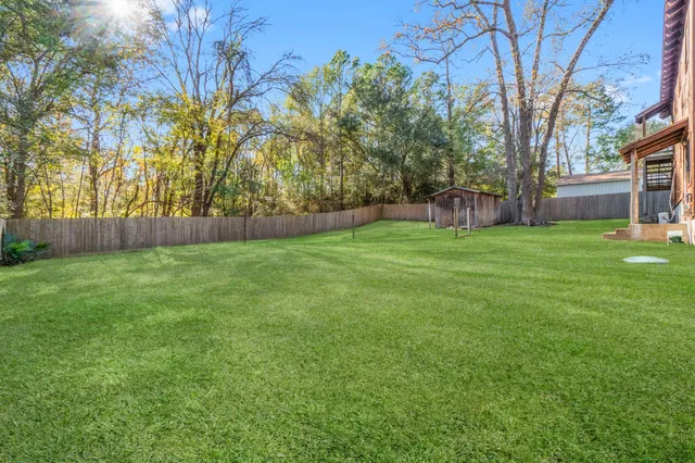 a view of a yard with a tree