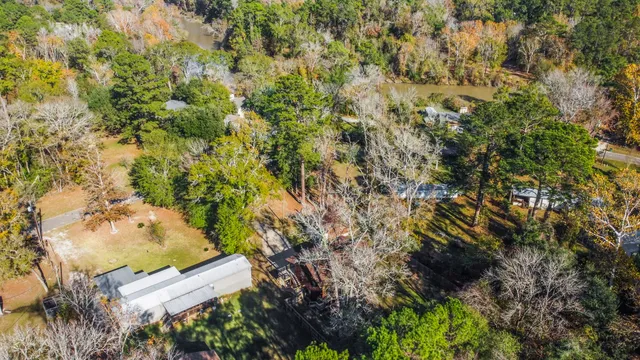 a view of a yard with plants and tree