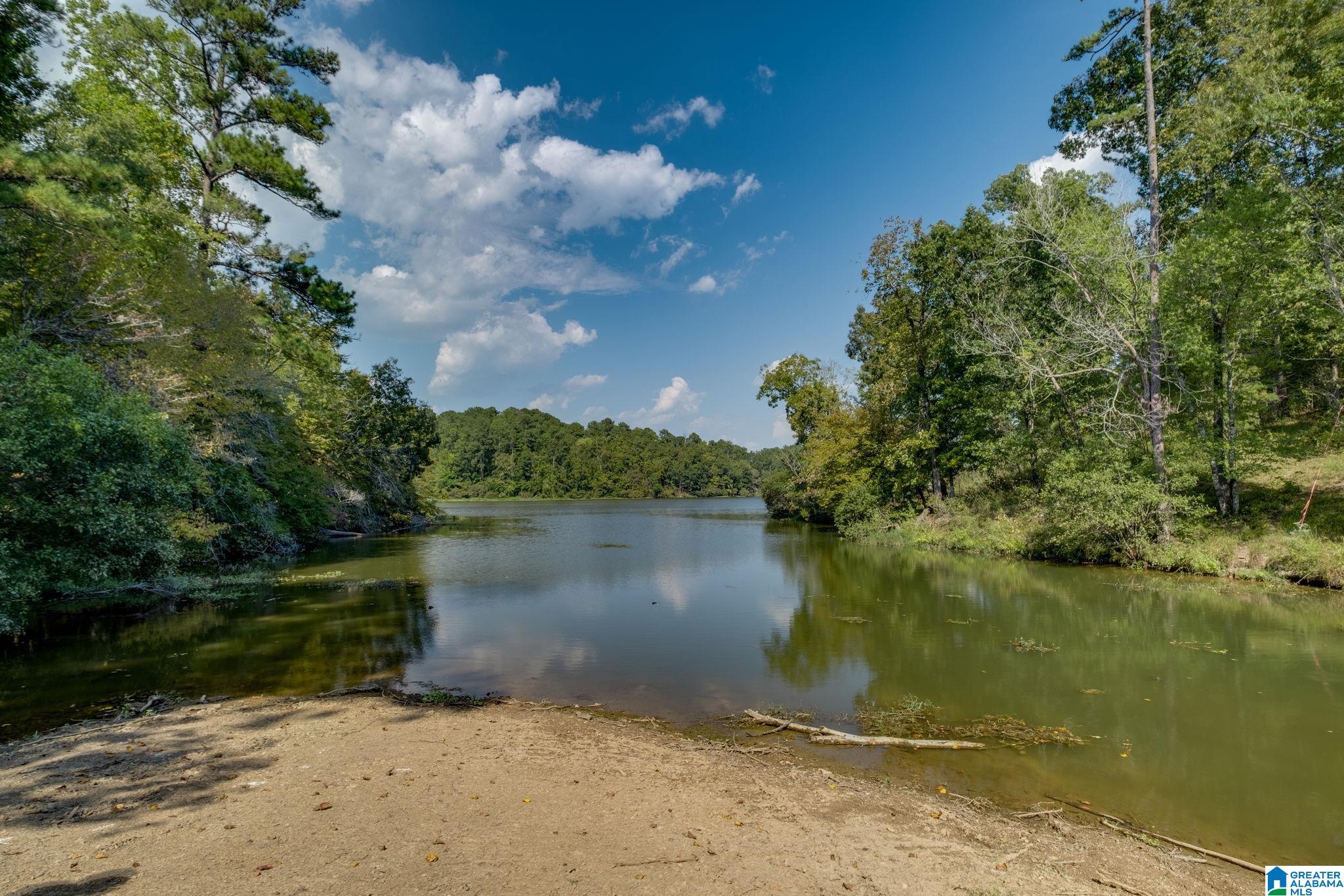 Lot 11 County Road 730, Unit 11 Clanton, AL 35046 - Photo 4 of 14