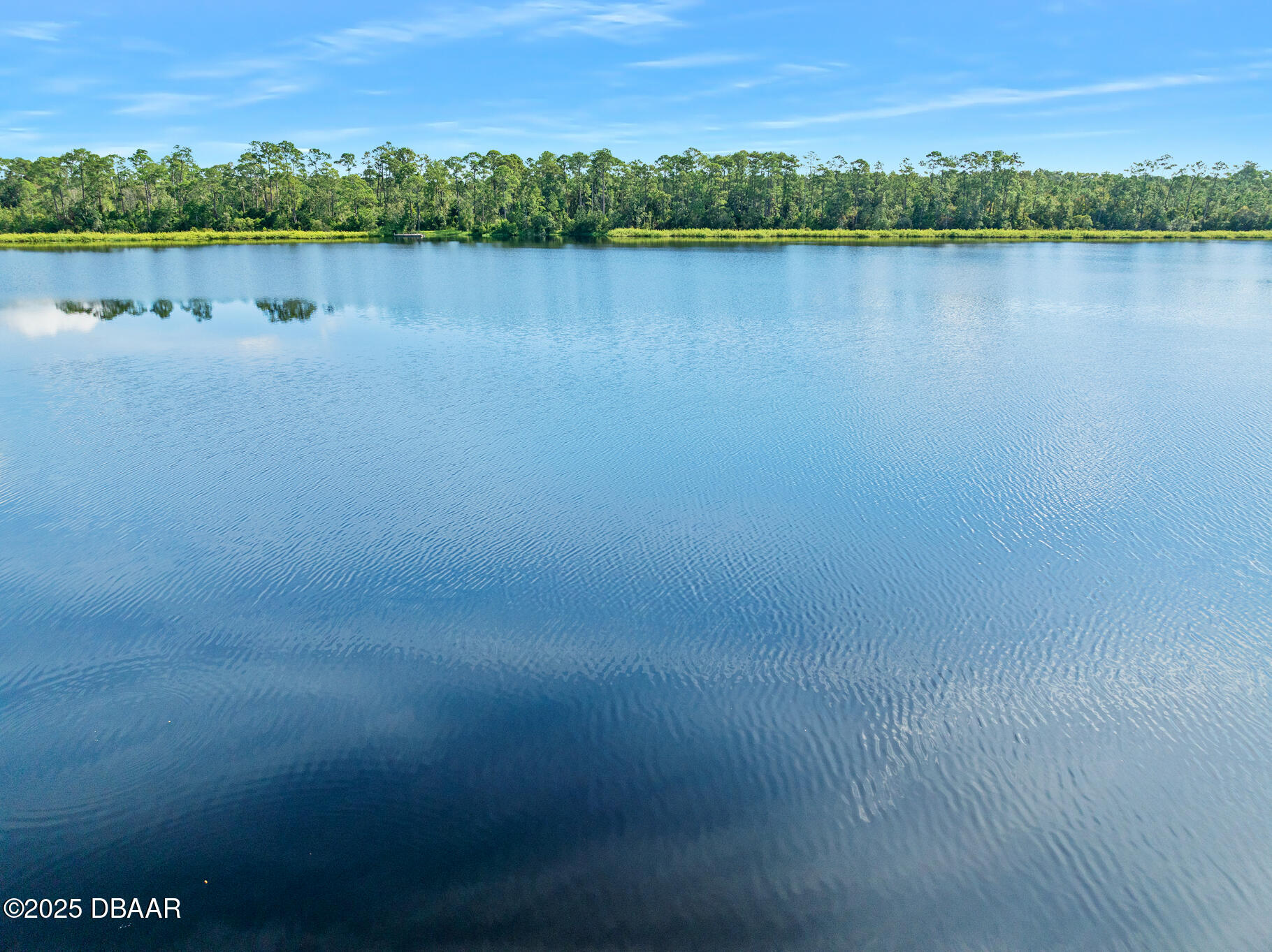 0 Roberts Road Pierson, FL 32180 - Photo 14 of 37 a view of a lake with a city