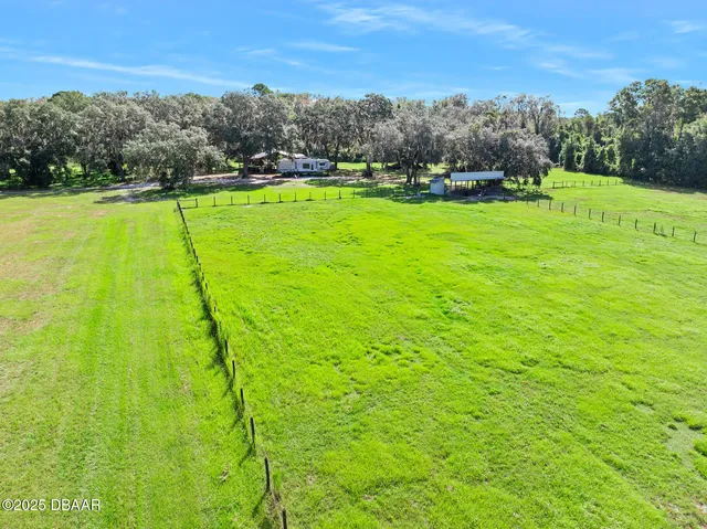 a view of a big yard with plants and large trees