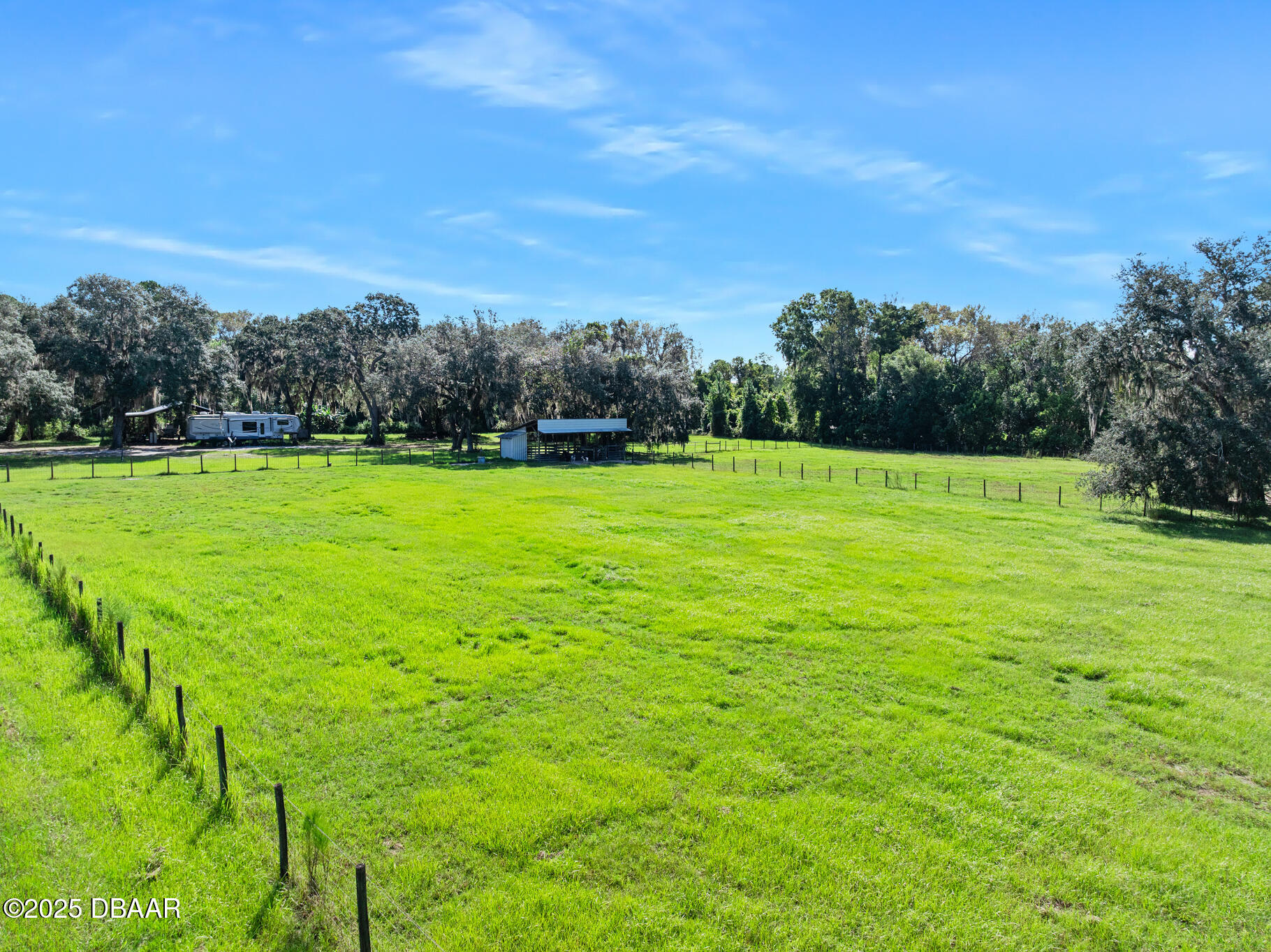 0 Roberts Road Pierson, FL 32180 - Photo 26 of 37 a view of a big yard with plants and large trees