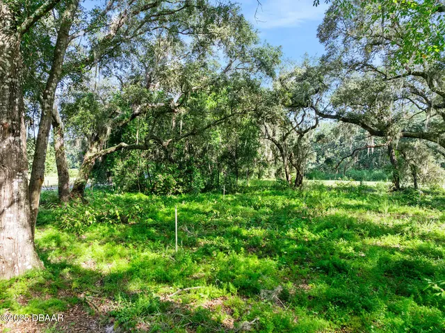 a big yard with lots of green space and deers