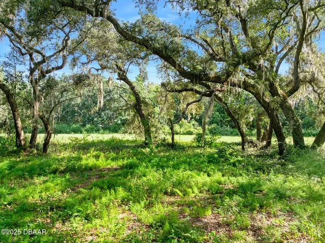 a view of a garden from a yard