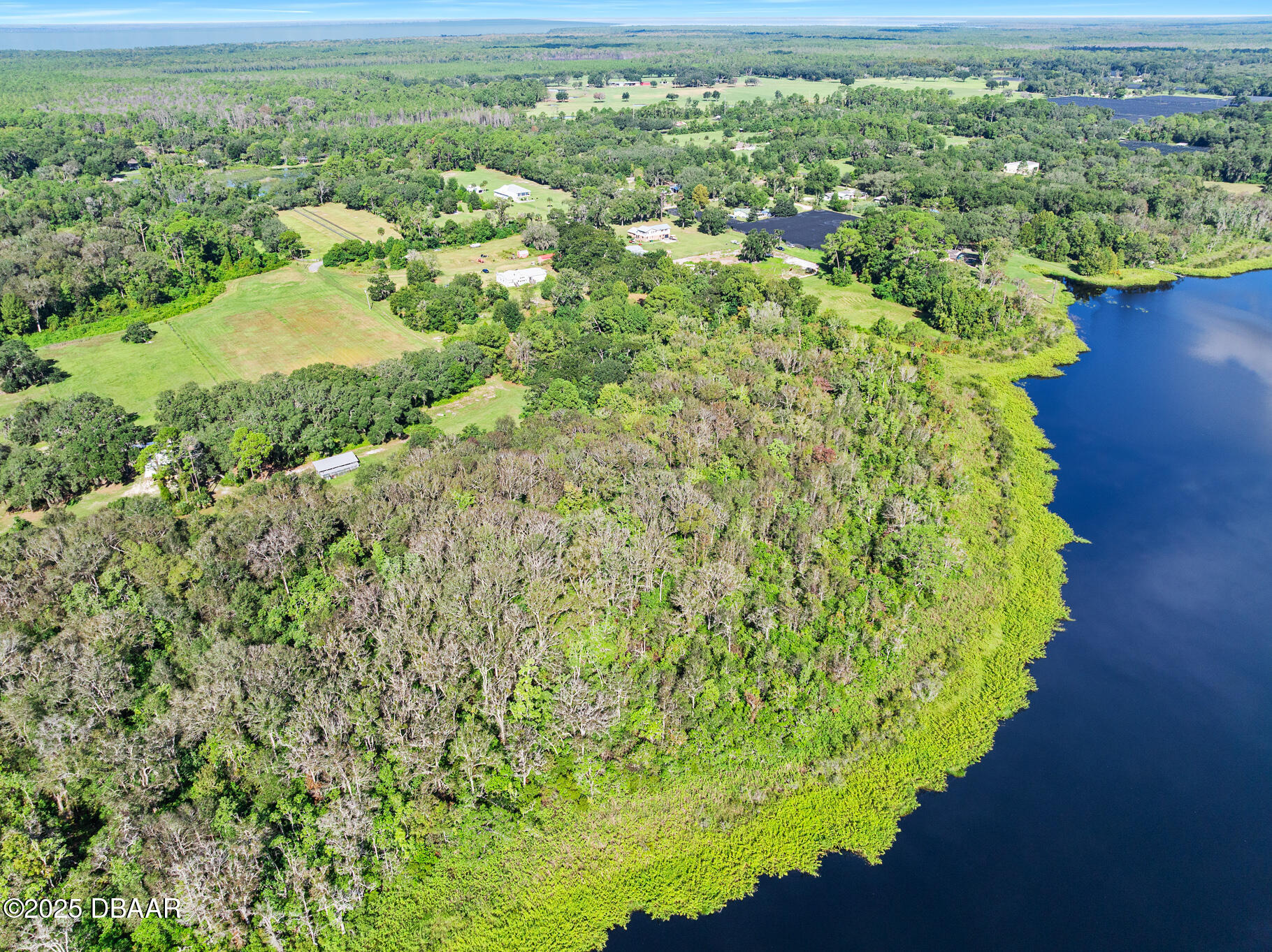 0 Roberts Road Pierson, FL 32180 - Photo 4 of 37 a view of a garden