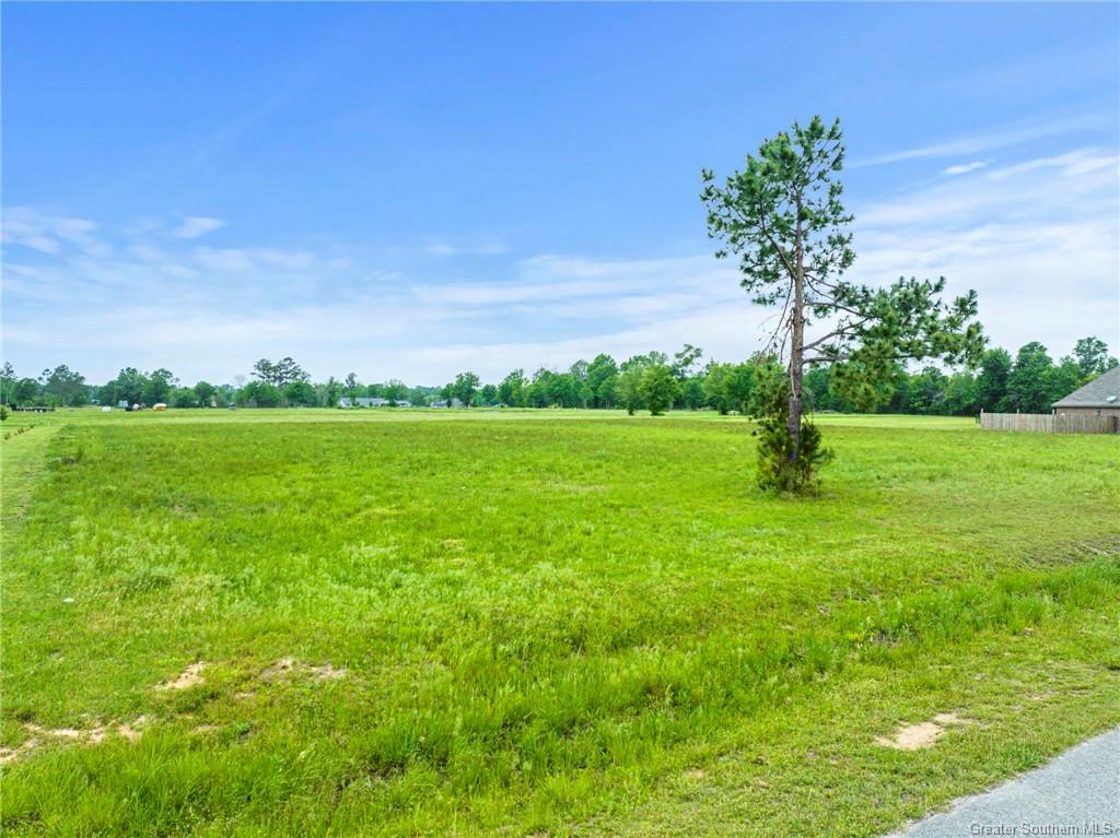 311 Trinity Lane Ragley, LA 70657 - Photo 5 of 6