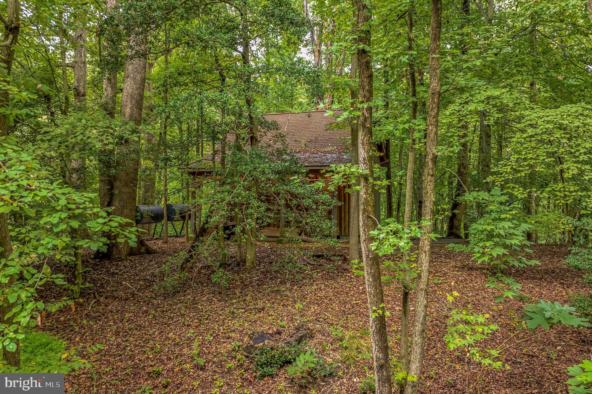 5941 Cherry Hill Road Huntingtown, MD 20639 - Photo 37 of 42 Detached woodshop for a true escape.