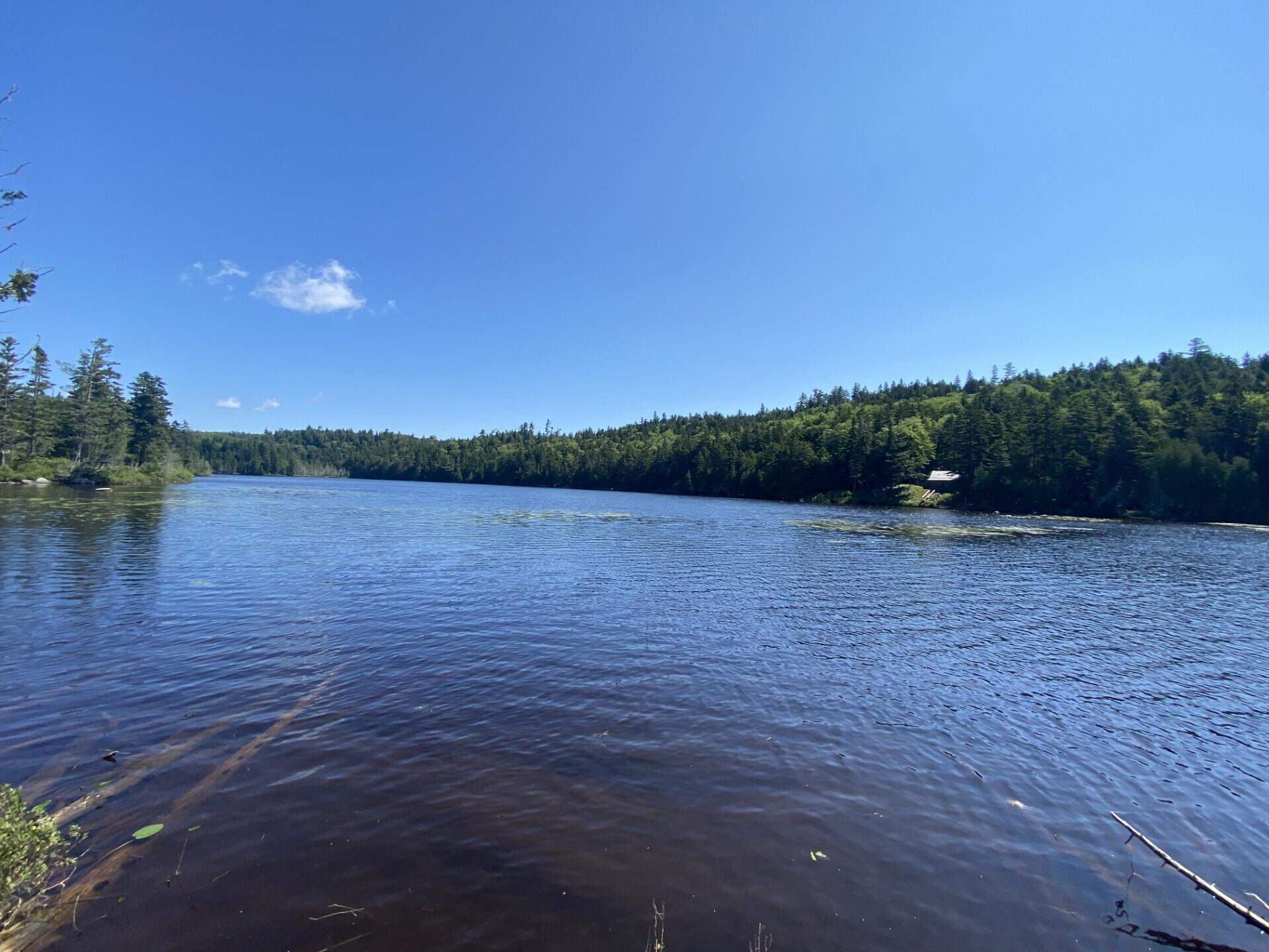 Lot 14 Rowe Pond Road Bingham, ME 04920 - Photo 47 of 49