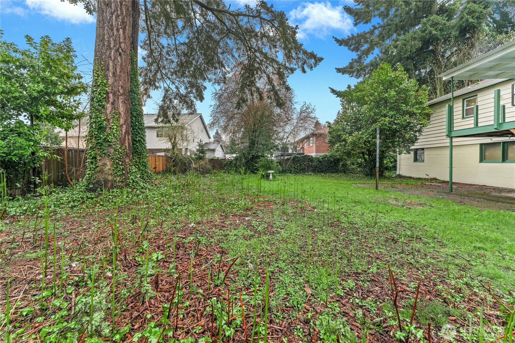 429 Harvard Avenue Fircrest, WA 98466 - Photo 26 of 31