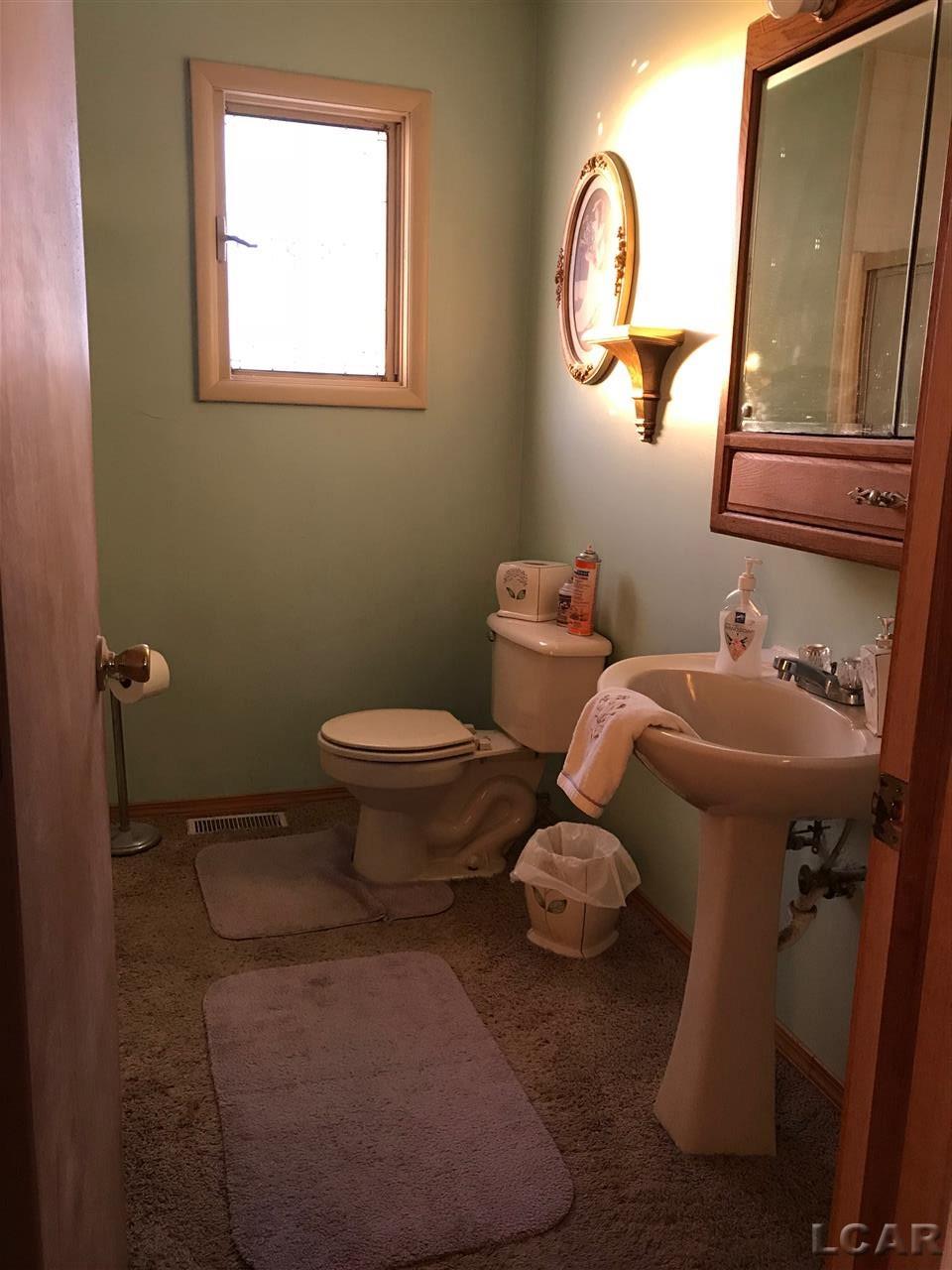 3800 South Meridian Road Hudson, MI 49247 - Photo 20 of 36 31337626-19.JPG