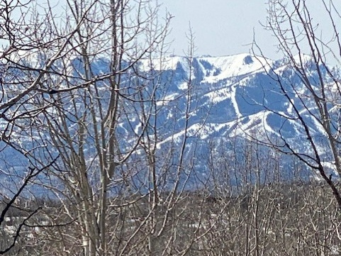 2604 South Forest Meadow Road, Unit C82 Coalville, UT 84017 - Photo 18 of 27 View of mountain backdrop