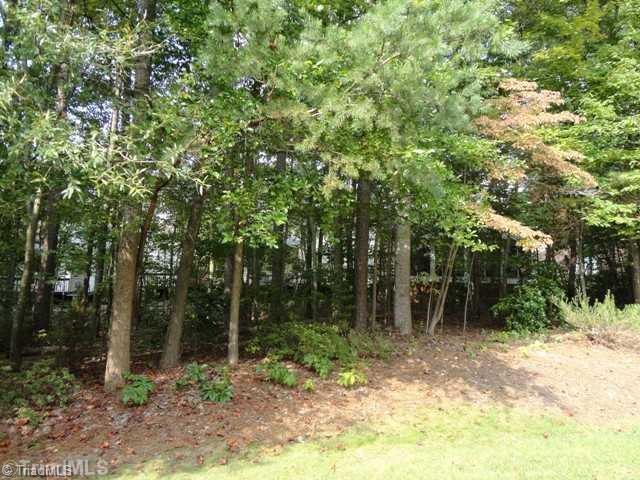1005 Nuthatch Court High Point, NC 27262 - Photo 16 of 16 Yard/Garden. View from patio