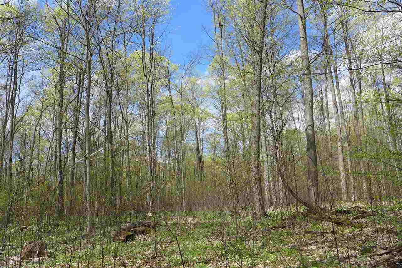6777 Peters Road Boyne Falls, MI 49713 - Photo 18 of 57 1831661-17.JPG