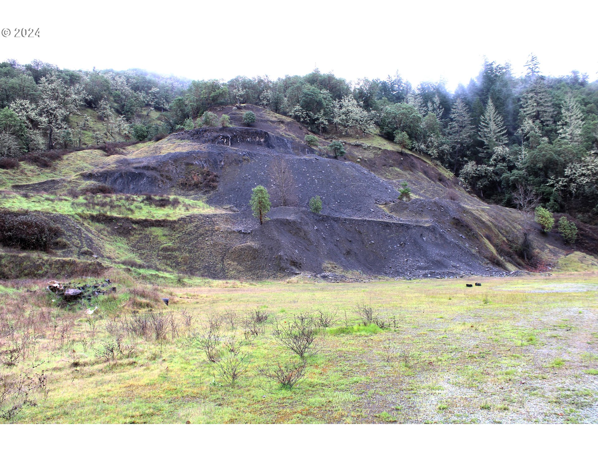 0 Yokum Road Riddle, OR 97469 - Photo 2 of 6 a view of a yard with an outdoor space