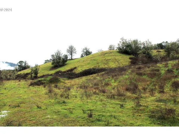 $550,000 | 0 Yokum Road, Riddle, OR 97469