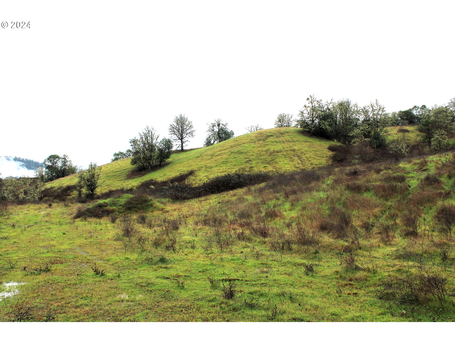0 Yokum Road Riddle, OR 97469 - Photo 3 of 6 a view of a field with an ocean