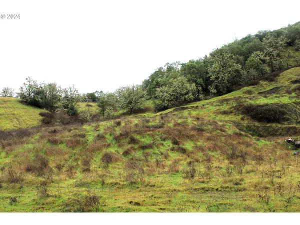 $550,000 | 0 Yokum Road, Riddle, OR 97469