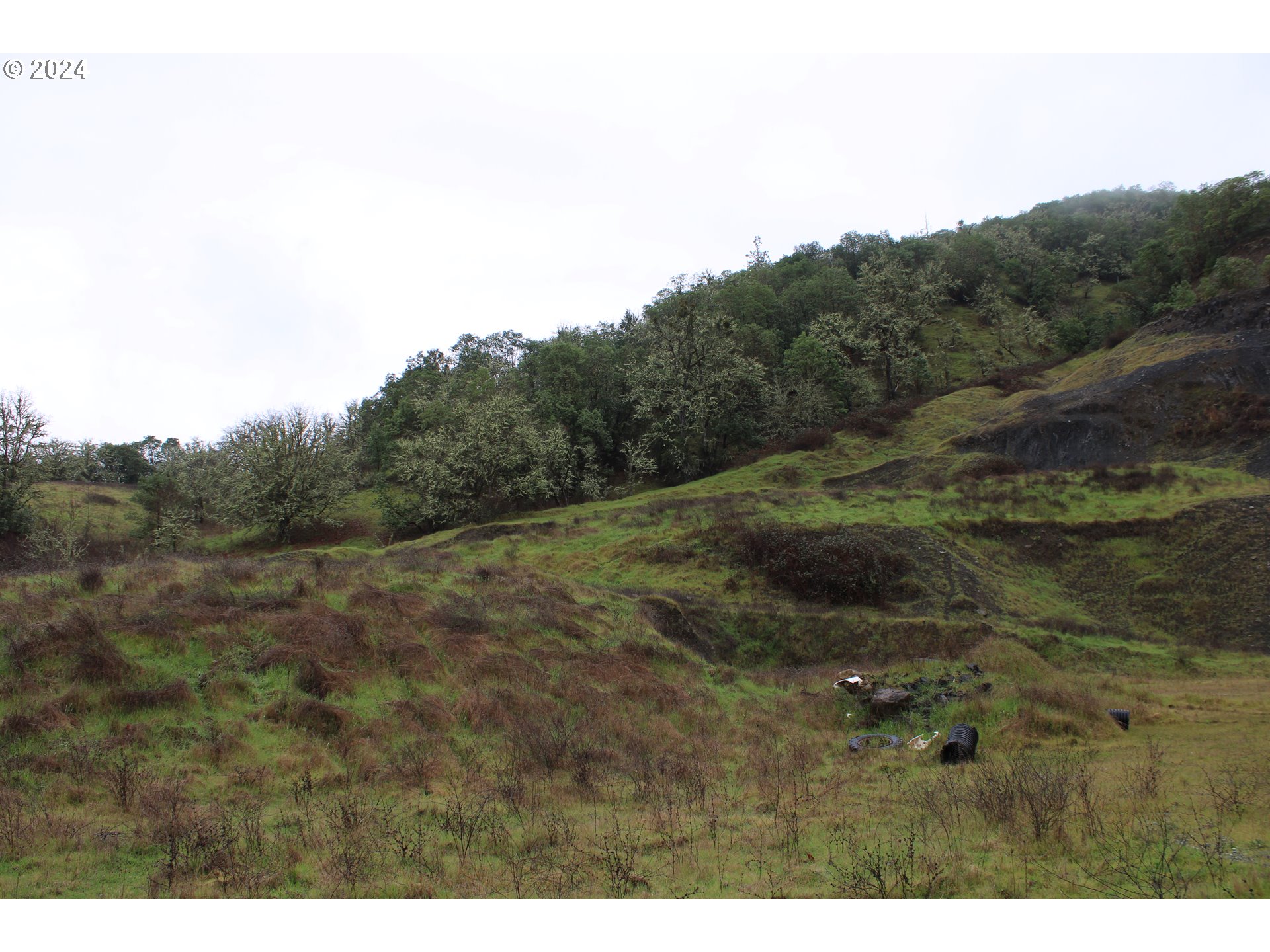 0 Yokum Road Riddle, OR 97469 - Photo 5 of 6 a view of a field of grass and trees