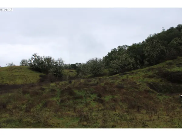 $550,000 | 0 Yokum Road, Riddle, OR 97469