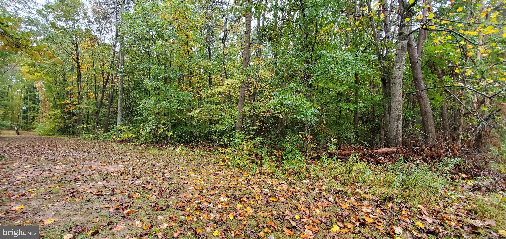 10028 Wallers Road Partlow, VA 22534 - Photo 2 of 7