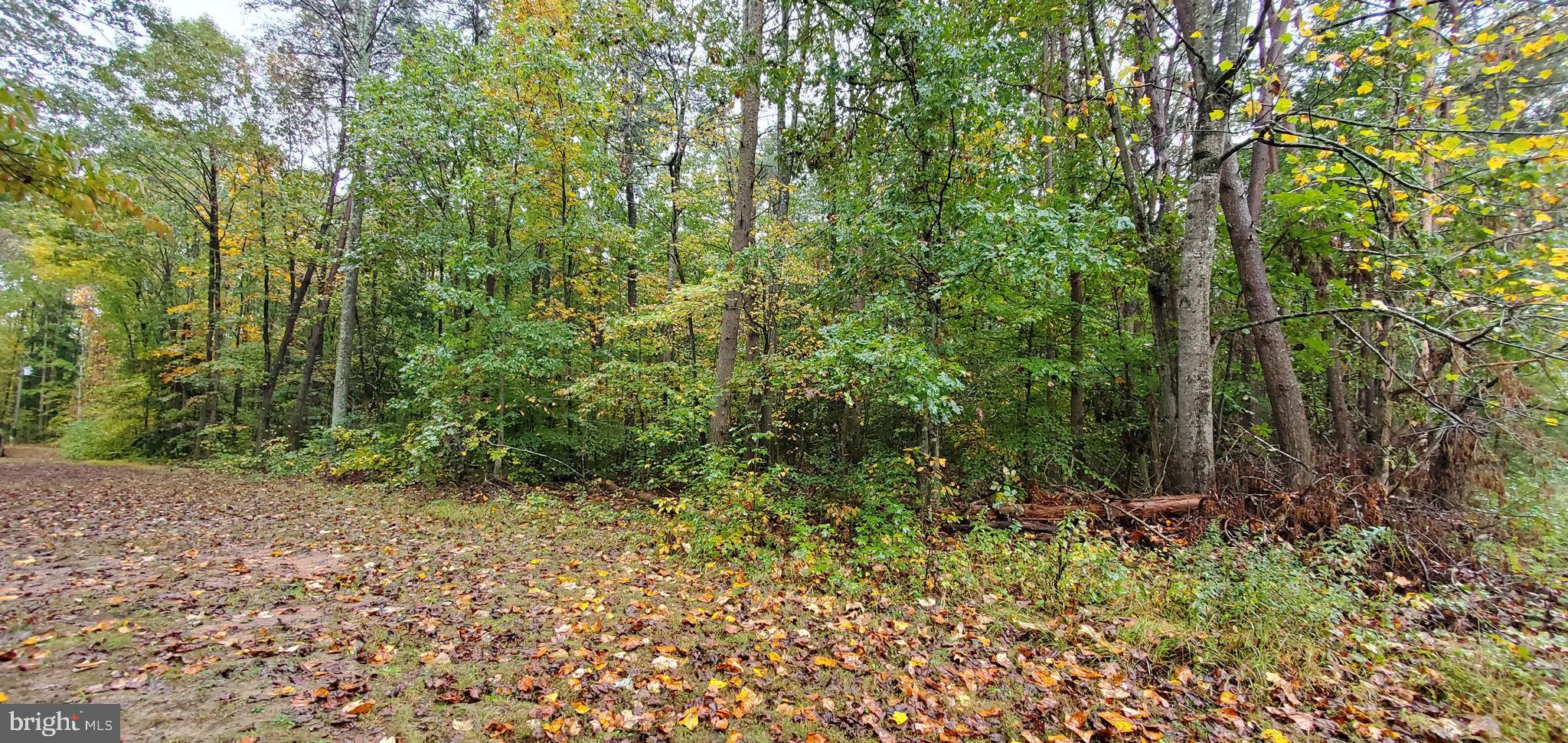10028 Wallers Road Partlow, VA 22534 - Photo 3 of 7