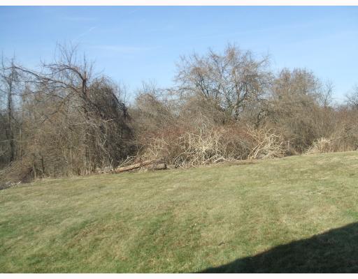 513 Center Hill Road Plum, PA 15239 - Photo 12 of 13 Land/Lot.