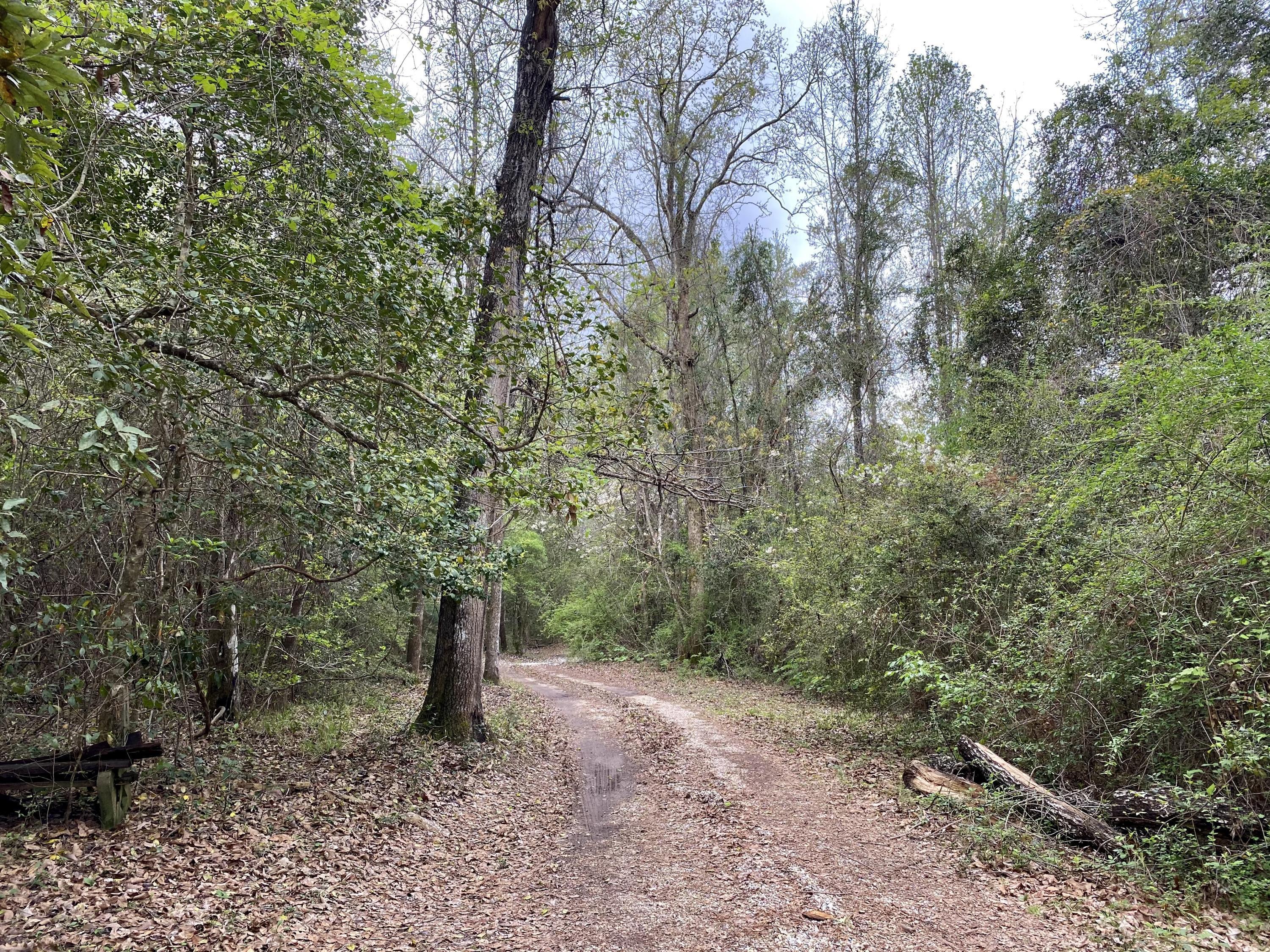 355 McNeill Steephollow Road Carriere, MS 39426 - Photo 20 of 34 IMG_3542