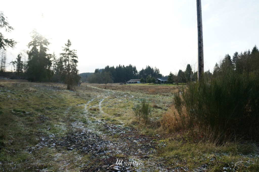 4435 Maytown Road Southwest Olympia, WA 98512 - Photo 17 of 25 a view of a field with trees in it