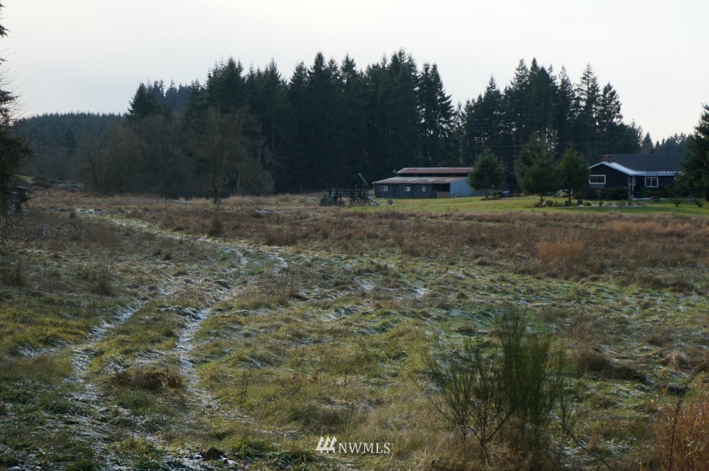 4435 Maytown Road Southwest Olympia, WA 98512 - Photo 18 of 25 a view of outdoor space with green field and trees