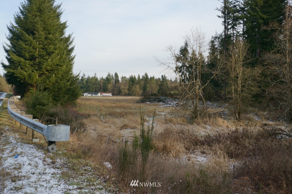 4435 Maytown Road Southwest Olympia, WA 98512 - Photo 20 of 25 a view of a field with trees in the background