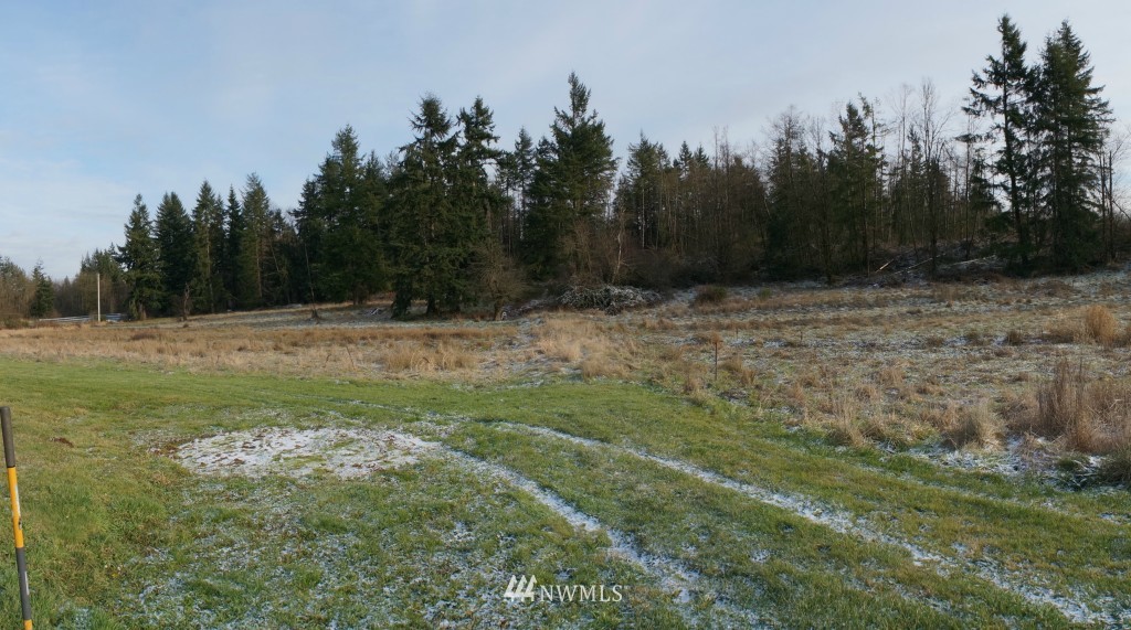 4435 Maytown Road Southwest Olympia, WA 98512 - Photo 21 of 25 a view of a field with trees in the background