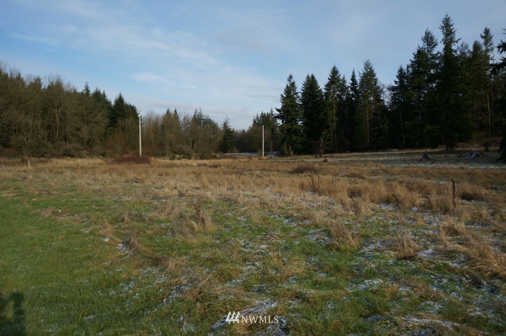 4435 Maytown Road Southwest Olympia, WA 98512 - Photo 22 of 25 a view of dirt yard with trees