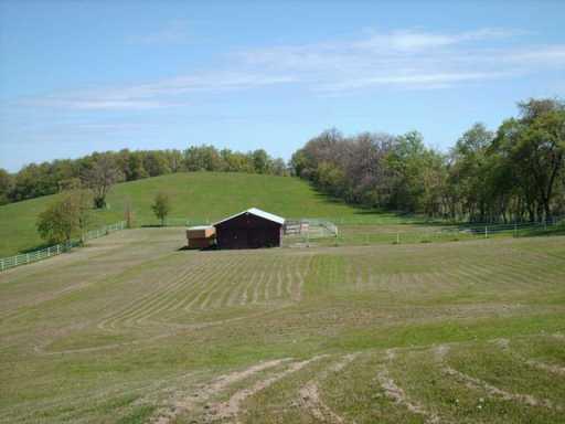 428 South Ridge Road Coal Center, PA 15423 - Photo 7 of 8 Yard/Garden.