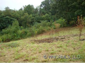 0 Relief Loop Road, Unit 13 Clyde, NC 28721 - Photo 4 of 6