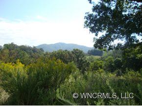 0 Relief Loop Road, Unit 13 Clyde, NC 28721 - Photo 6 of 6
