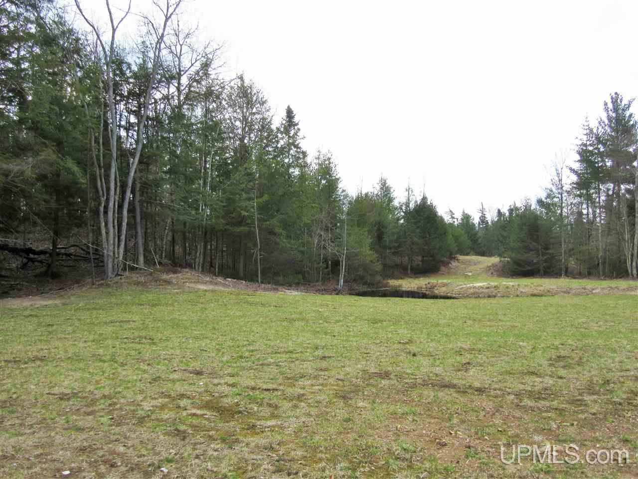 540 East Gulliver Lake Road Gulliver, MI 49840 - Photo 7 of 30