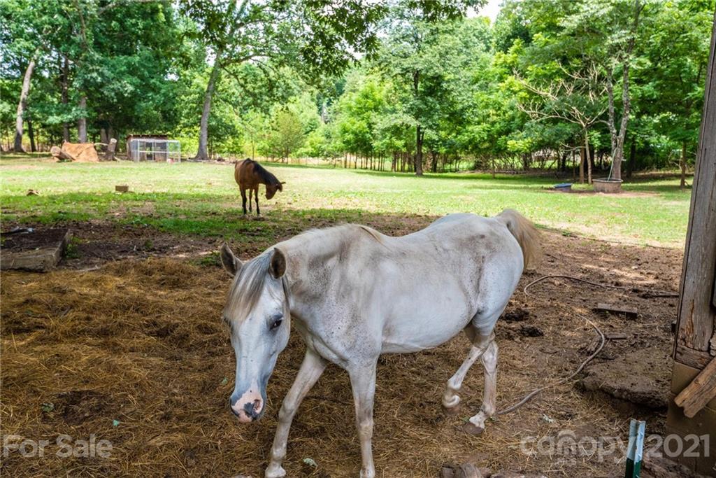 2831 Spencer Road Conover, NC 28613 - Photo 17 of 48 Gallery Image 17