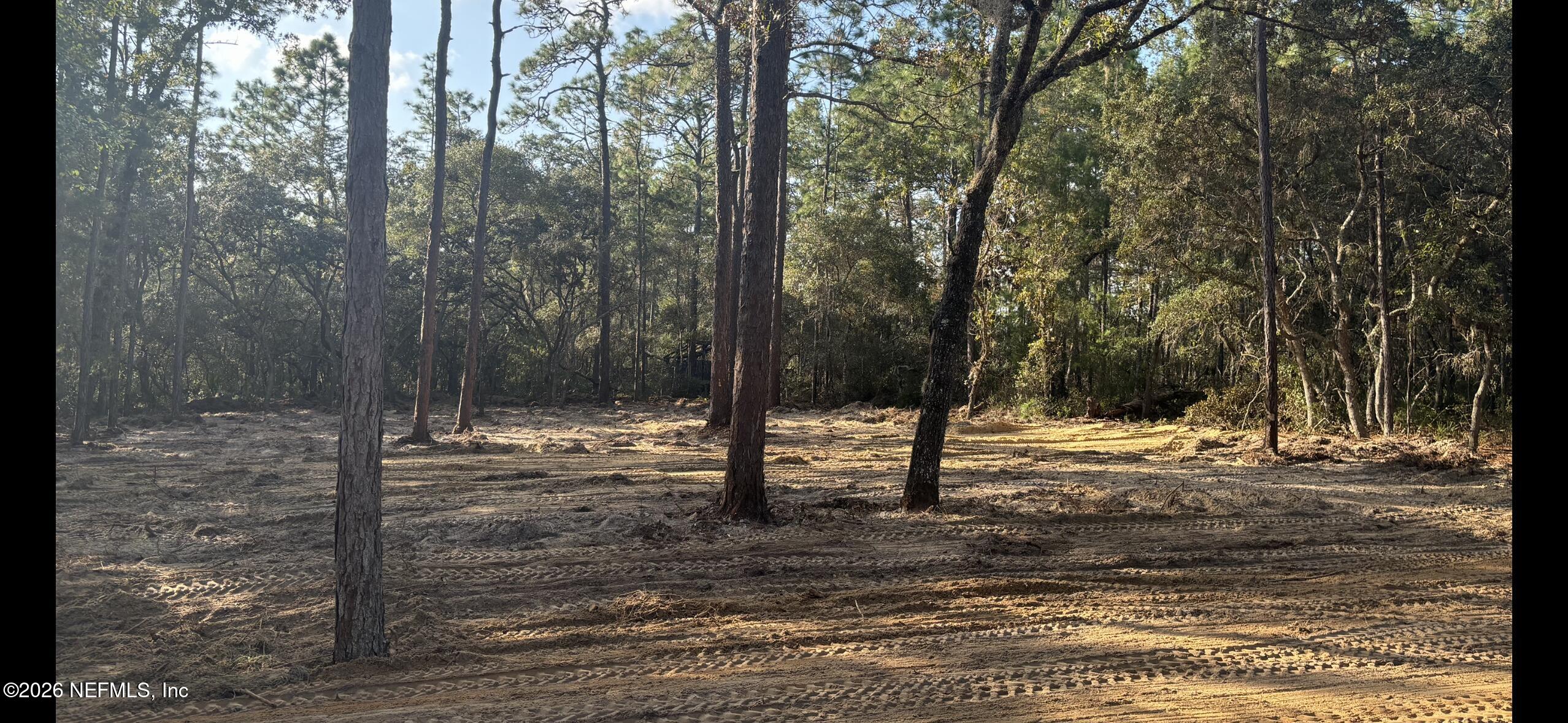 409 Edgehill Road Satsuma, FL 32189 - Photo 2 of 4 IMG_2169