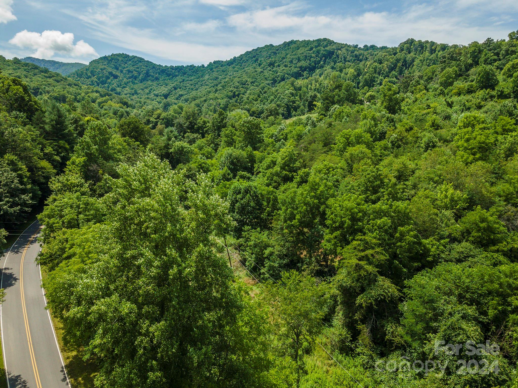 999999 Kims Cove Road Canton, NC 28716 - Photo 1 of 31 a view of a lush green field