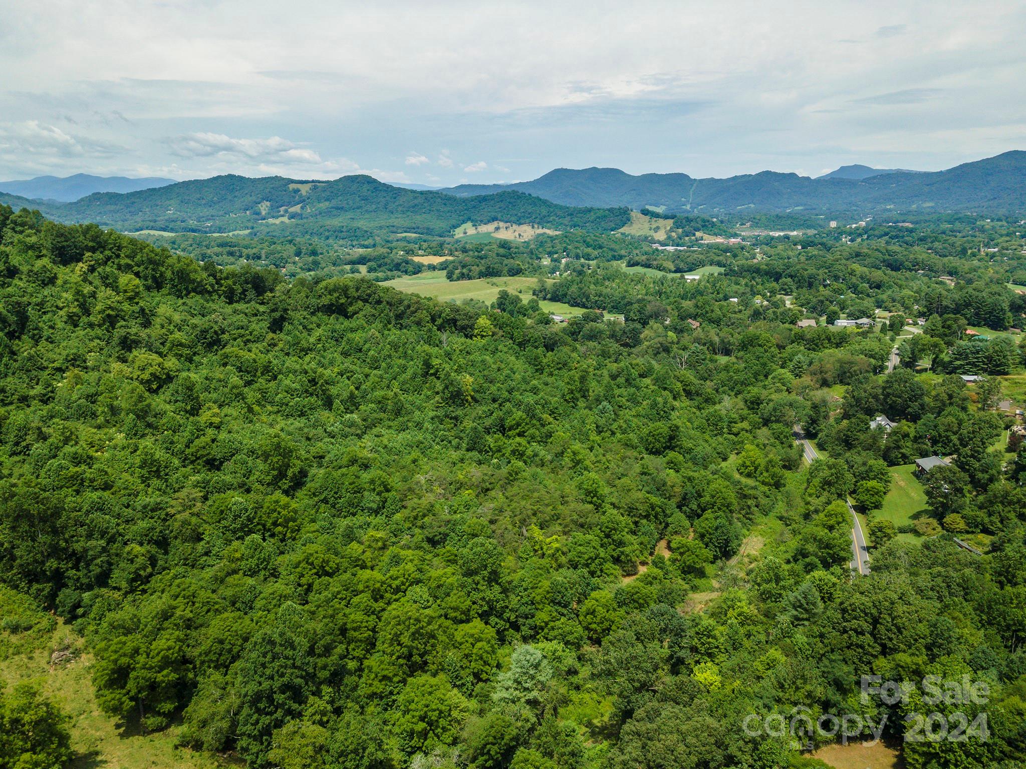 999999 Kims Cove Road Canton, NC 28716 - Photo 11 of 31 a view of a lush green forest with trees in the background