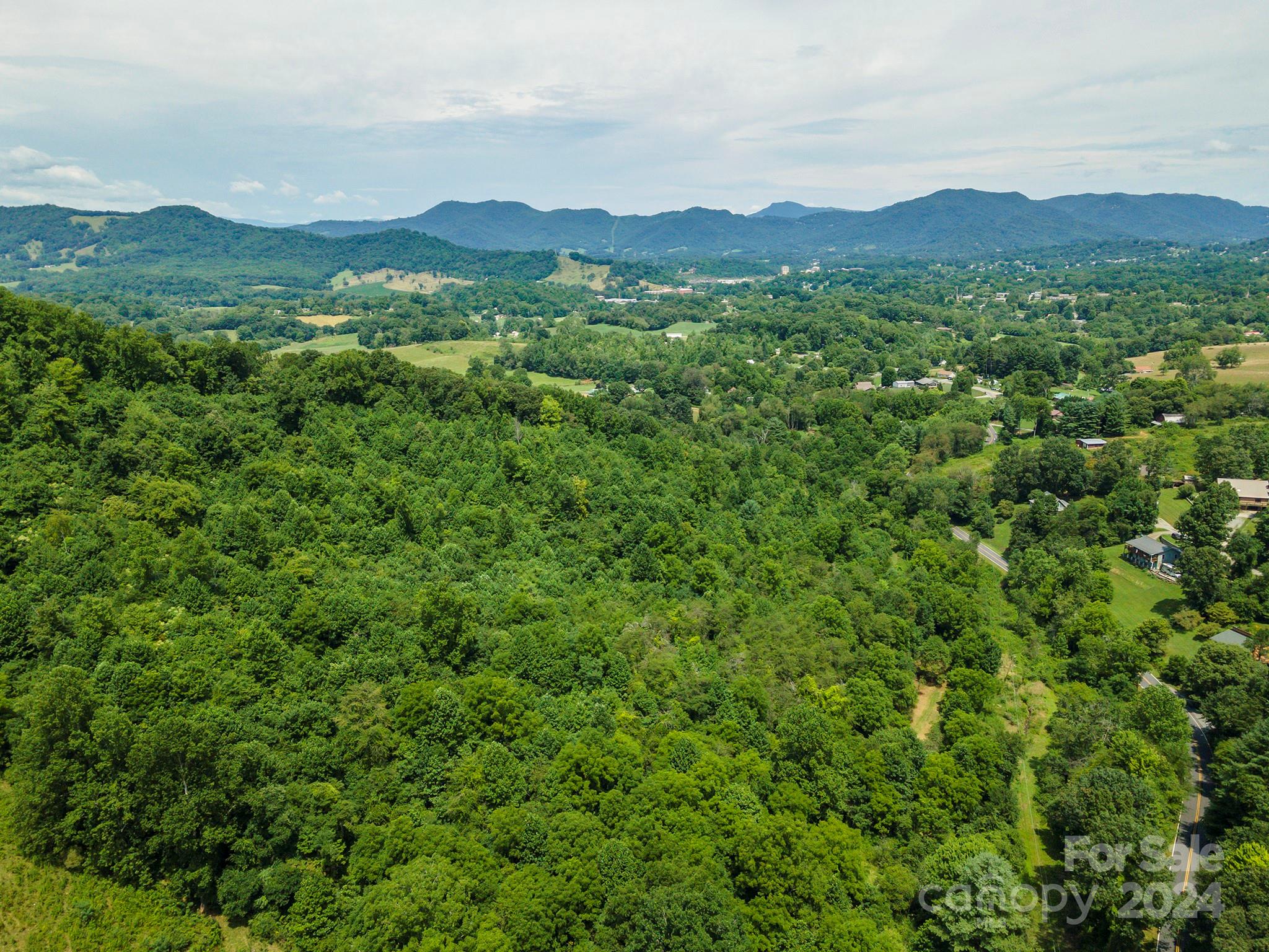 999999 Kims Cove Road Canton, NC 28716 - Photo 13 of 31 a view of a lush green hillside and a mountain view