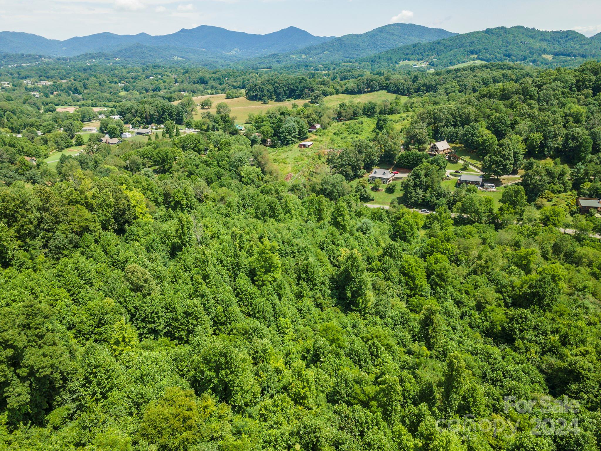999999 Kims Cove Road Canton, NC 28716 - Photo 17 of 31 a view of a lush green forest with trees in the background